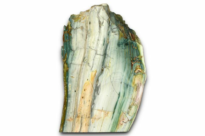 Freestanding Gary Green Jasper (Larsonite) Bog Wood - Oregon #377833